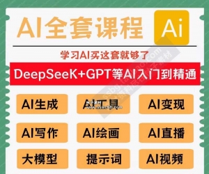 deepseek使用教程AI课程视频教程ai赚钱变现人工智能课程学习教学
